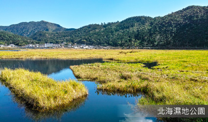 騰衝北海濕地